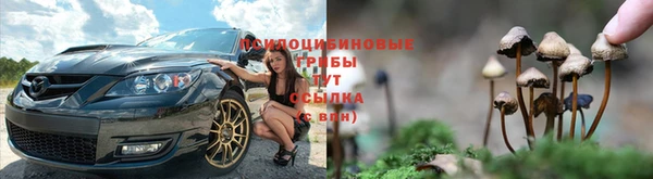 винт Абдулино