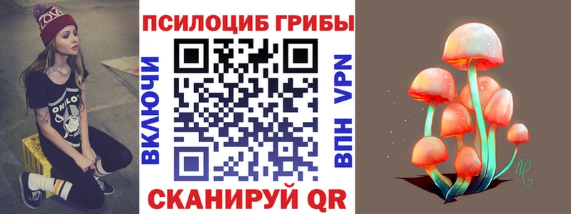 кракен зеркало  Грозный  Галлюциногенные грибы ЛСД 