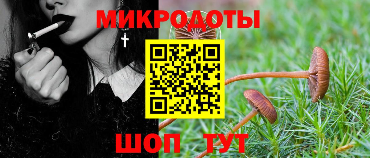Псилоцибиновые грибы Magic Shrooms  даркнет сайт  Грозный  Вход с VPN 